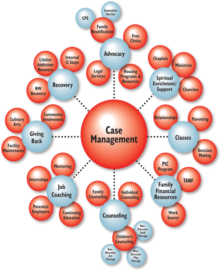 case management problem solving