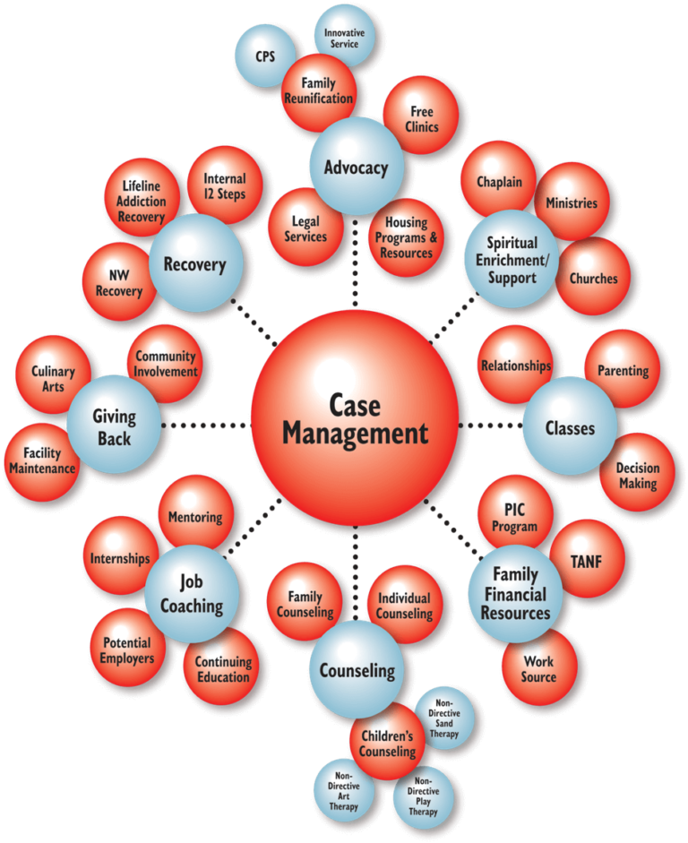 integrated-case-management-system-icms